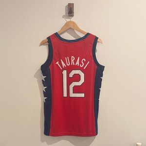 Team USA Taurasi Basketball Jersey Olympic